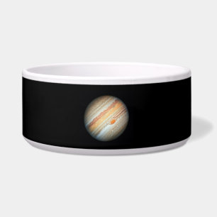View of the Planet Jupiter (Hubble Telescope)