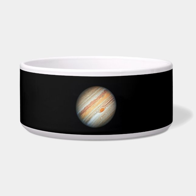 View of the Planet Jupiter (Hubble Telescope) (Front)