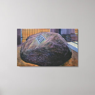 View of the Real Plymouth Rock Canvas Print