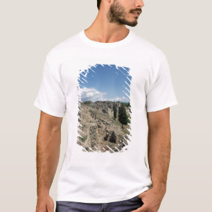 View of the ruined city T-Shirt
