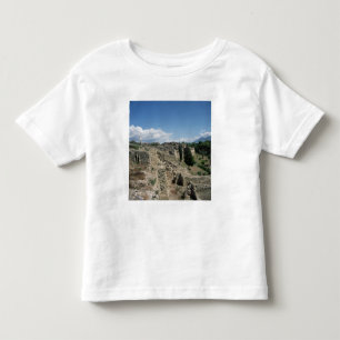View of the ruined city toddler t-shirt
