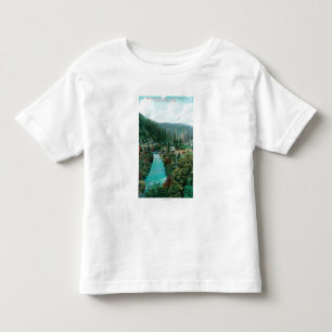 View of the Sacramento River Canyon on SP Toddler T-shirt