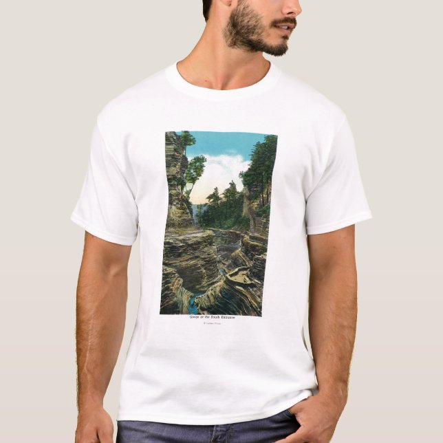 View of the Southern Entrance Gorge T-Shirt (Front)