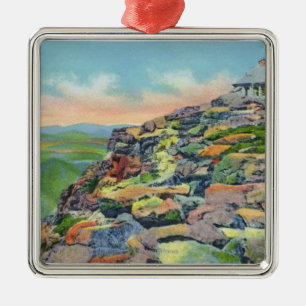 View of the Summit House, Elevator Terminal Metal Ornament