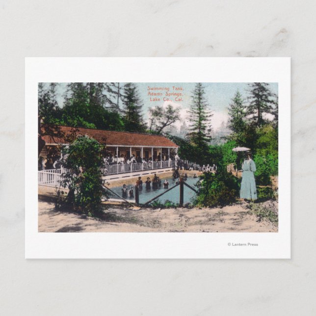 View of the Swimming PoolAdams Springs, CA Postcard (Front)