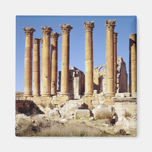 View of the Temple of Artemis, built c.386 AD Magnet