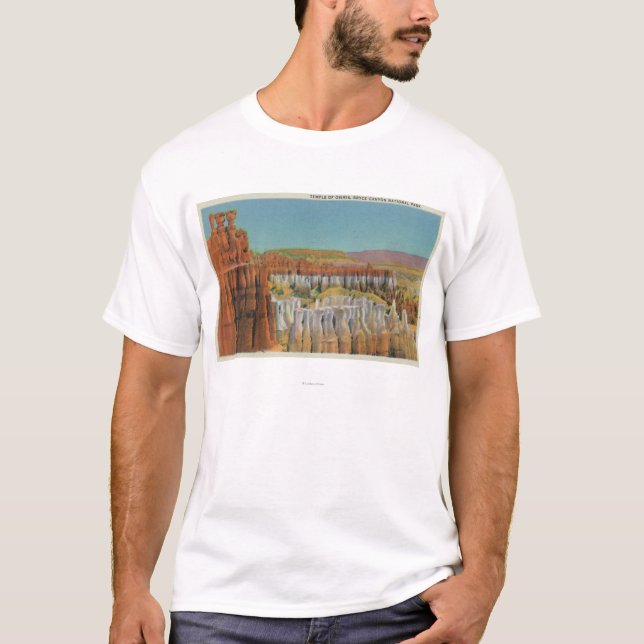 View of the Temple of Osiris T-Shirt (Front)