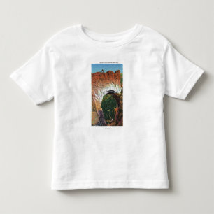 View of the Victorian Arch Toddler T-shirt