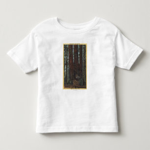 View of "Three Graces" at Big Trees Park Toddler T-shirt