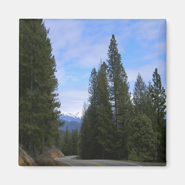 View of Trinity  Alps.... Magnet (Front)