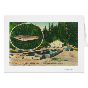 View of Trout Haven HatcheryGasquet, CA