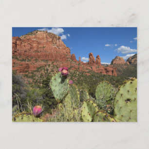 View of Twin Buttes   Sedona, Arizona Postcard