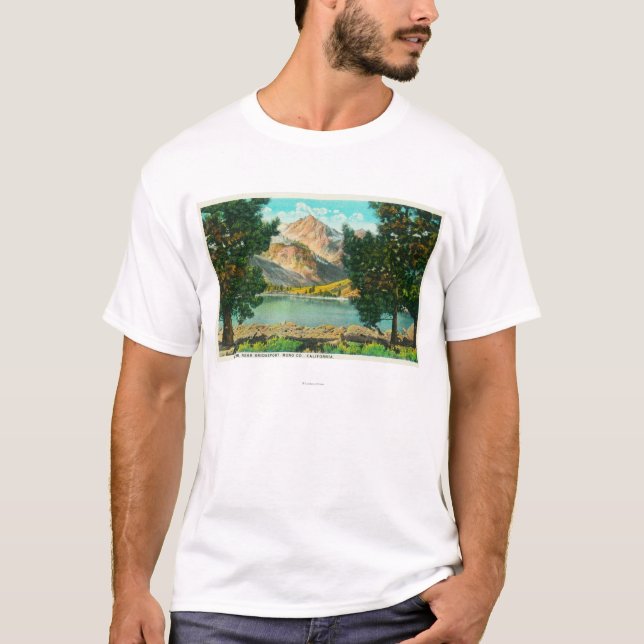 View of Twin Lakes near Bridgeport T-Shirt (Front)
