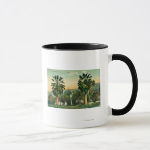 View of Twin PalmsParaiso Springs, CA Mug