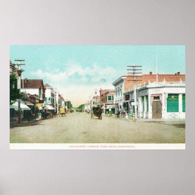 View of University AvenuePalo Alto, CA Poster (Front)