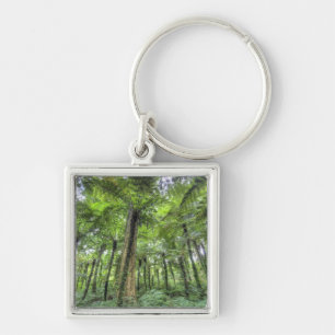 View of vegetation in Bali Botanical Gardens, Keychain