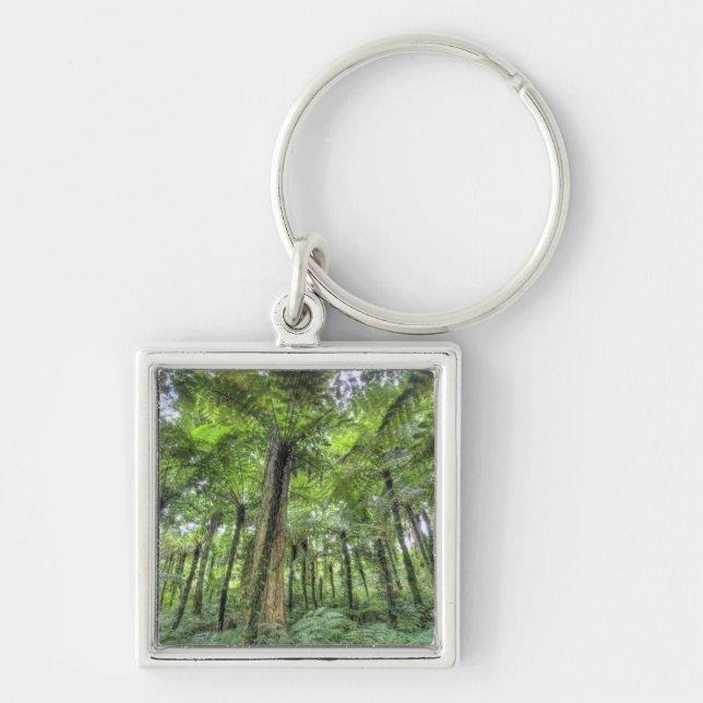 View of vegetation in Bali Botanical Gardens, Keychain (Front)