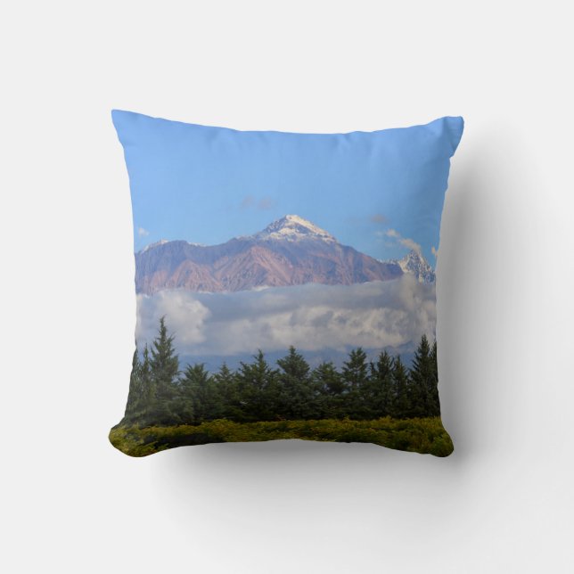 View Of Vineyard With Mountain On Background Throw Pillow (Front)