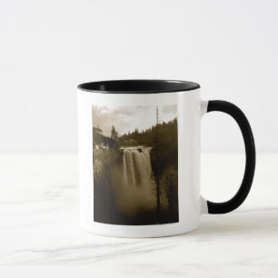 View of Waterfall Mug