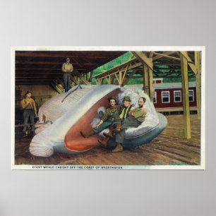 View of Whale Hunters Reclining on Whale Poster