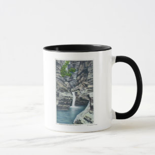View of Whispering Falls Mug