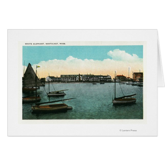 View of White Elephant (Front Horizontal)