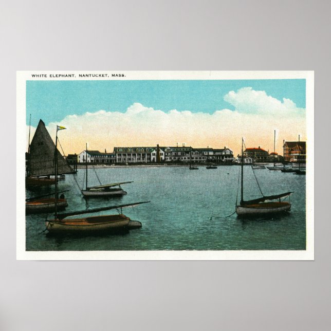 View of White Elephant Poster (Front)