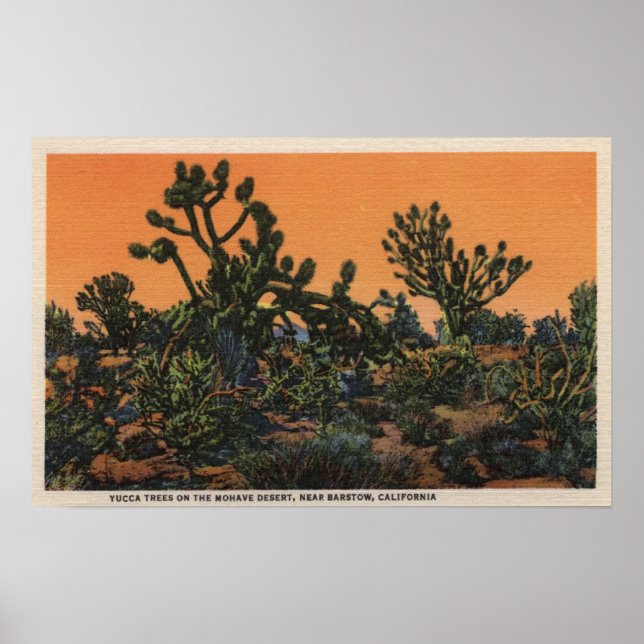 View of Yucca Trees in the Mohave Desert Poster (Front)