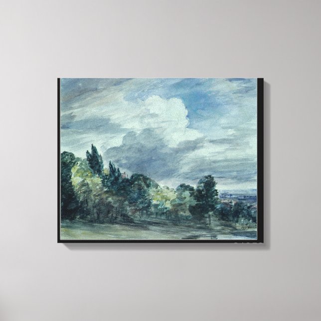 View over a wide landscape, with trees in the fore canvas print (Front)