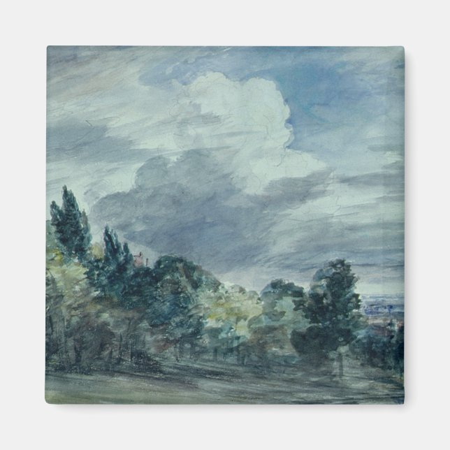 View over a wide landscape, with trees in the fore magnet (Front)