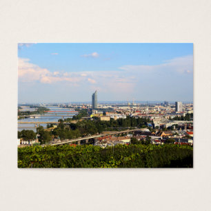 View Over Vienna