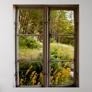 View through old window poster