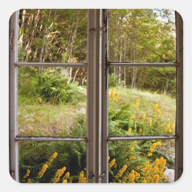 View through old window square sticker (Front)