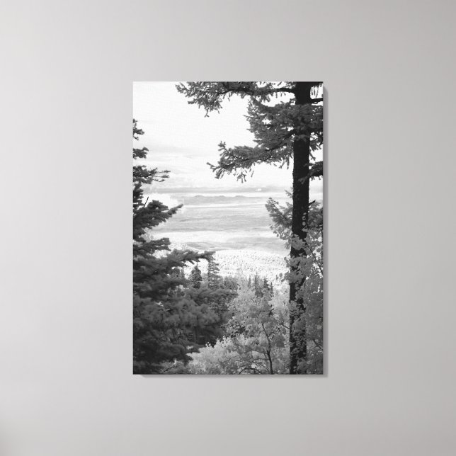 View west from crest of Sandia, Mountains, Canvas Print (Front)