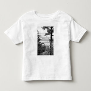 View west from crest of Sandia, Mountains, Toddler T-shirt