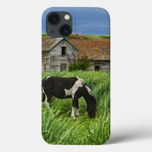 Viewing horses in a field in the Palouse 2 iPhone 13 Case