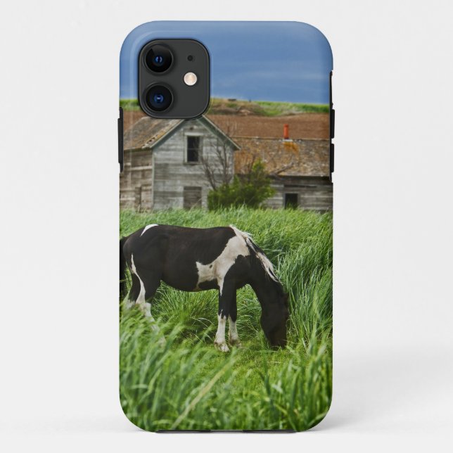 Viewing horses in a field in the Palouse 2 Case-Mate iPhone Case (Back)