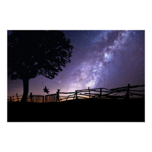 Viewing the Universe from a Swing Poster