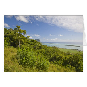 Viewpoint near Grand Riviere Noire, South