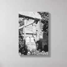 Views from Alcatraz Island