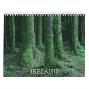 Views From Ireland Calendar
