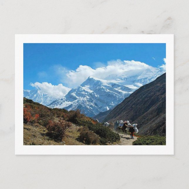 Views from Nepal on way to MOUNT EVEREST Postcard (Front)