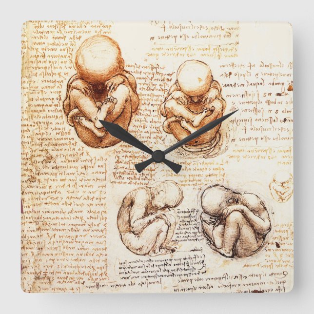 Views of a Fetus in the Womb,Ob-Gyn Medical Square Wall Clock (Front)