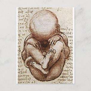 Views of a Foetus in the Womb detail Postcard