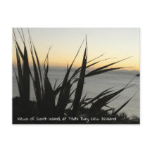 Views of South Island postcard