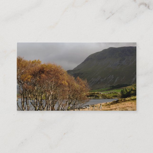 VIEWS OF WALES BUSINESS CARD (Front)