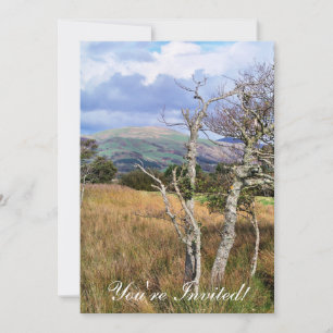 VIEWS OF WALES INVITATION