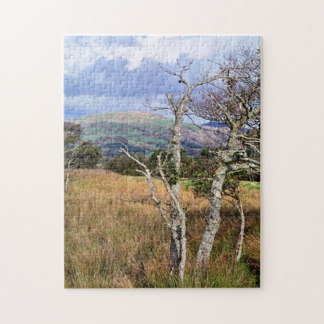 VIEWS OF WALES JIGSAW PUZZLE (Vertical)