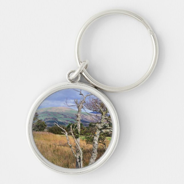 VIEWS OF WALES KEYCHAIN (Front)