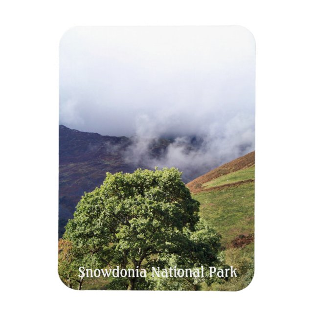 VIEWS OF WALES MAGNET (Vertical)